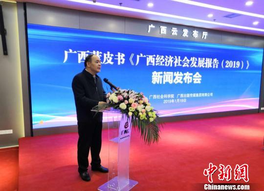 圖為廣西社會科學院院長陳立生介紹《廣西經濟社會發展報告(2019)》相關情況?！铌?攝