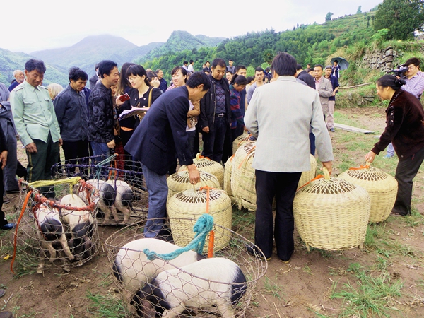 堅(jiān)決打贏十大攻堅(jiān)戰(zhàn)｜民生實(shí)事攻堅(jiān)篇 精準(zhǔn)發(fā)力解民憂(yōu) 全力攻堅(jiān)惠民生