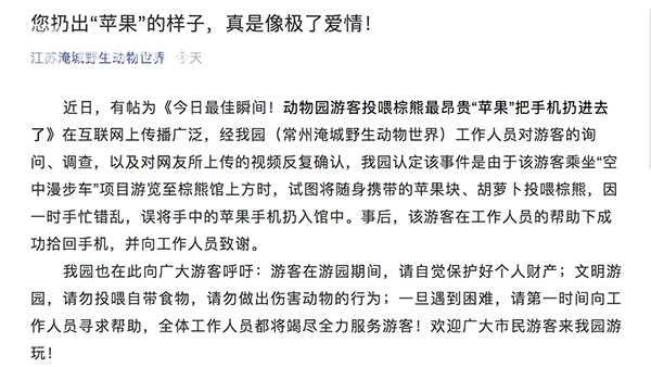 最貴投喂！游客誤將iPhone當蘋果投喂棕熊