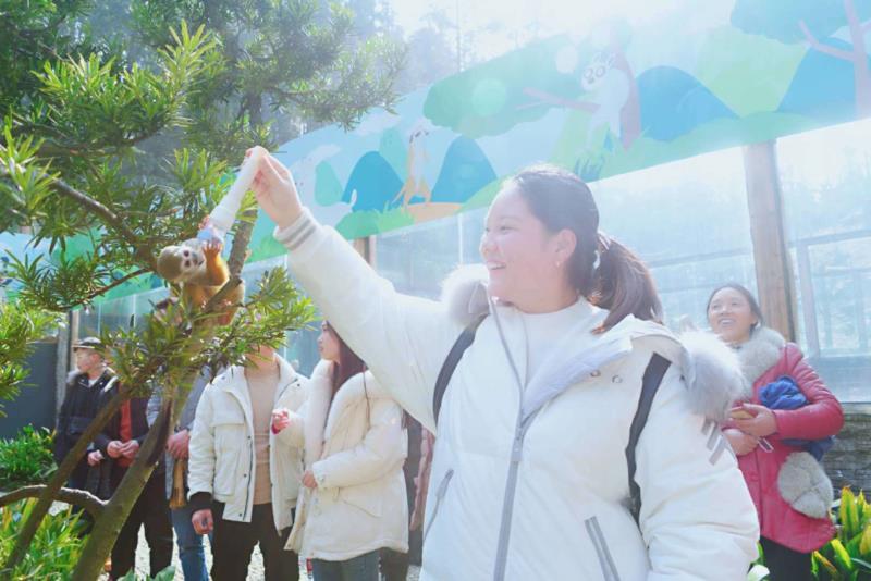 雨城區2019年春節假日旅游興盛迎來豬年