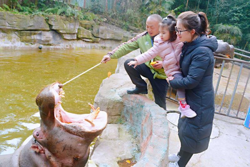 雨城區2019年春節假日旅游興盛迎來豬年