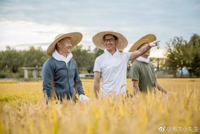 周杰在娛樂圈混不下去了？人家可是低調的億萬富豪！