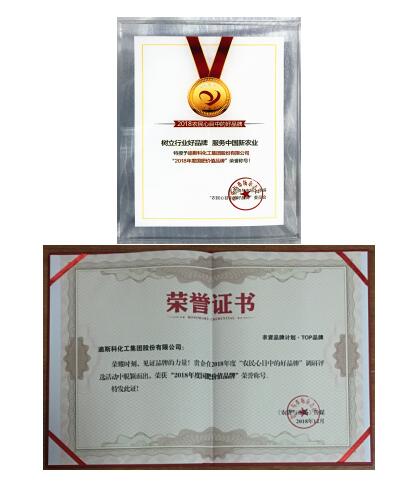 迪斯科榮獲“國肥價值品牌” 董事長陳家輝釋放品牌戰略新信息