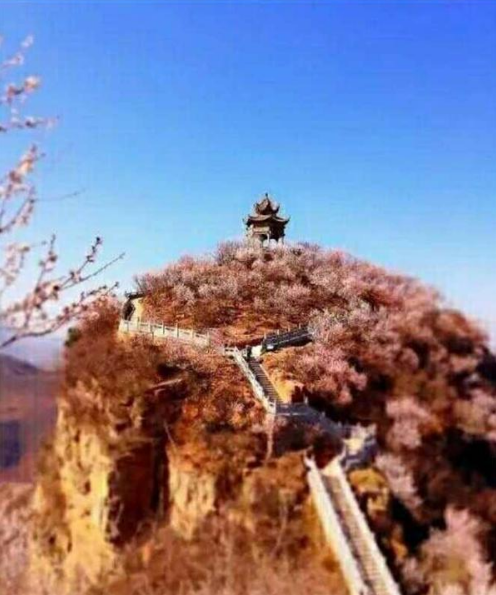2018洛陽荊紫仙山第四屆桃花節(jié)新聞發(fā)布會在鄭州舉行