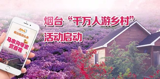仙境海岸 鮮美煙臺| 煙臺旅游網絡營銷獲評全省年度十佳優秀案例